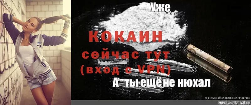 Cocaine 99%  купить закладку  Губаха 